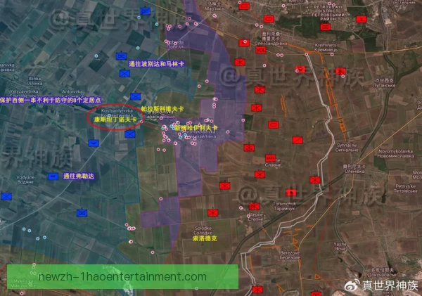 薇拉恰斯拉夫斯卡战术地位演变，核心角色几经更替